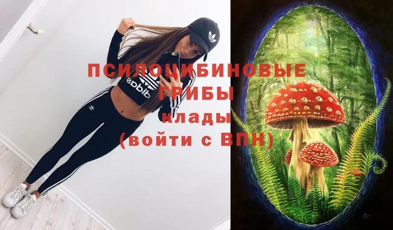 Псилоцибиновые грибы Magic Shrooms  Динская 